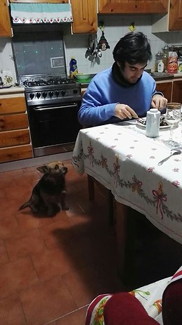 Francesco Maria Romano