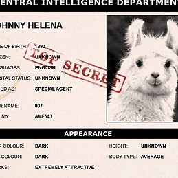Helena Johnny