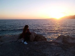 Dalál Habboob Martos