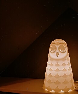 Saniat Faheema Zaman