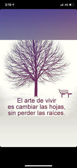 Hola Erasmus