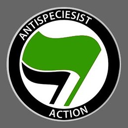 Luisa Wamba Mohamed Maitriser