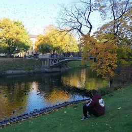 Eloy Bolaños Garrido