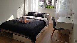 Chambre spacieuse et lumineuse en plein cœur de Tours