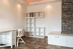 charming-1-bedroom-apartment-balcony-rent-krisztinavaros-af30583