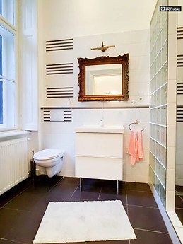 charming-1-bedroom-apartment-rent-erzsebetvaros-18758a8466fe72eb