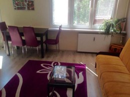 Comfortable apartment in the center