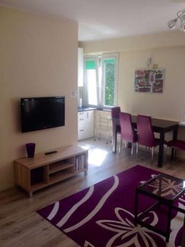 Comfortable apartment in the center