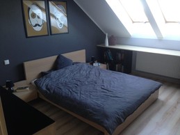 comfortable, modern apartment