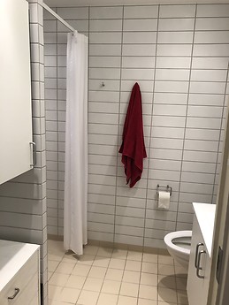 Cosy 1 Bedroom flat in Nordvest Copenhagen!