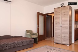 cute-1-bedroom-apartment-rent-close-natural-history-museum-jozse