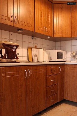 cute-1-bedroom-apartment-rent-close-natural-history-museum-jozse