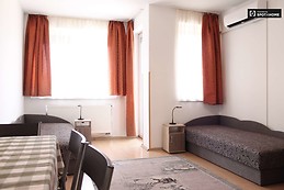 cute-1-bedroom-apartment-rent-close-natural-history-museum-jozse