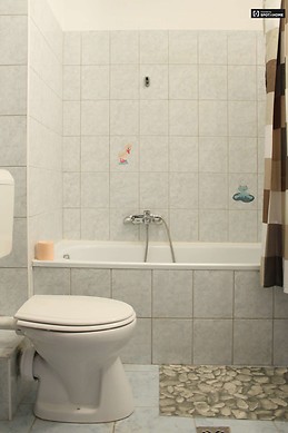 cute-1-bedroom-apartment-rent-close-natural-history-museum-jozse