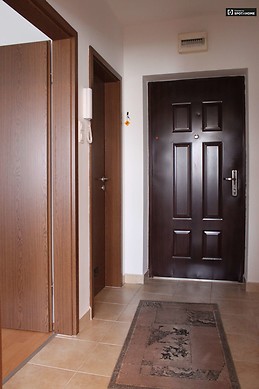 Cute 1-bedroom apartment for rent close to the Natural History Museum in Jozsefvaros