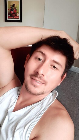 Luis carlos Castañeda morales