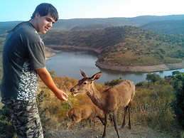 alberto sanz rodriguez