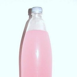 Ivanna-Nikol Posobchuk