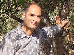 Mehrshad Koleini