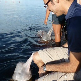 Luiz Jardim de Queiroz