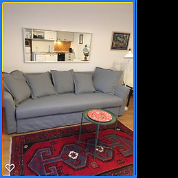 Newly renovated apartman Budapest city