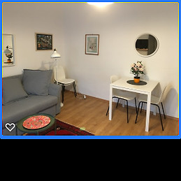 Newly renovated apartman Budapest city