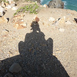 Julia van der Velden