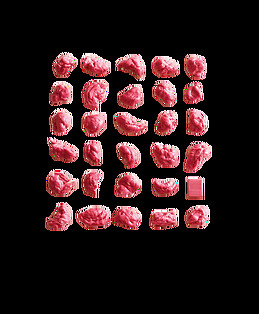 Patricia López Martínez