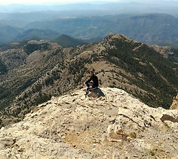 David  Domingo Villanueva