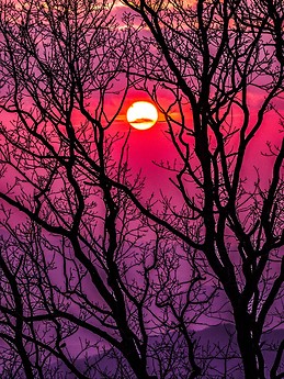 Samantha Dellapasqua