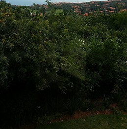 Tshireletso Monchonayne