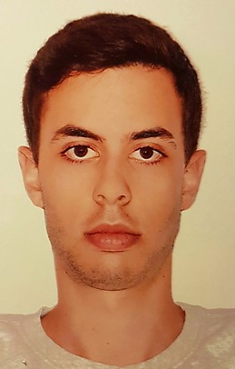 Vasileios Alexandros Papamichail