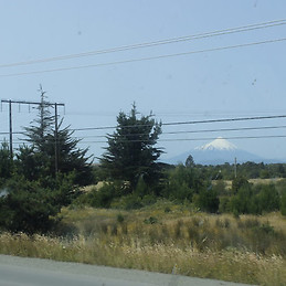 Paula Honores-Agüero