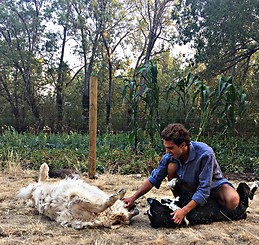 Miguel Angel Sebares