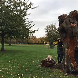 Andrea Andrada Nicolas