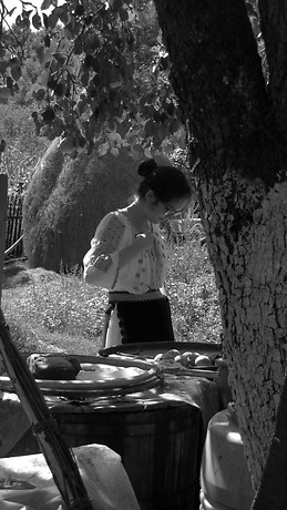 Teodora-Irina Poloșan