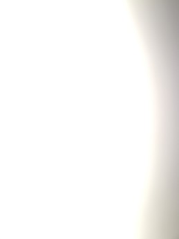 Germán Ferrando del Rincón