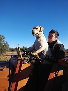 Rafael Ramirez Aranda