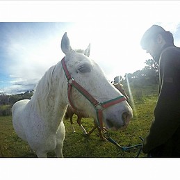 Manuel Gonzalez Martinez