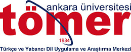aysegul allen