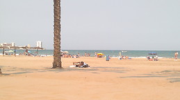 Carlos Alfredo