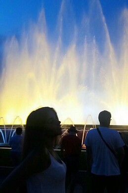 Alicia de Nova Arroyo