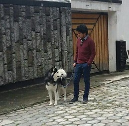 Andrés Mejía Gálvez