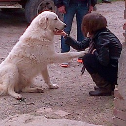 Charlotte Paola Carla