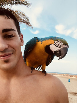 Rafa Arocas
