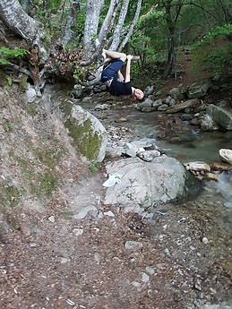 Aleksandar Zafirovski