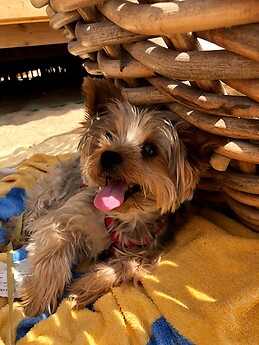 marta castillo sanchez