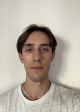 Michele Sgalippa Mendini