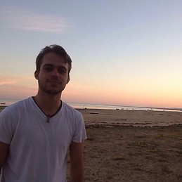 Mario Guerrero Martín