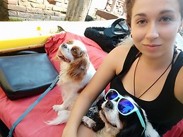 mita silvestri